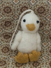 Ducks Ninie and Marco