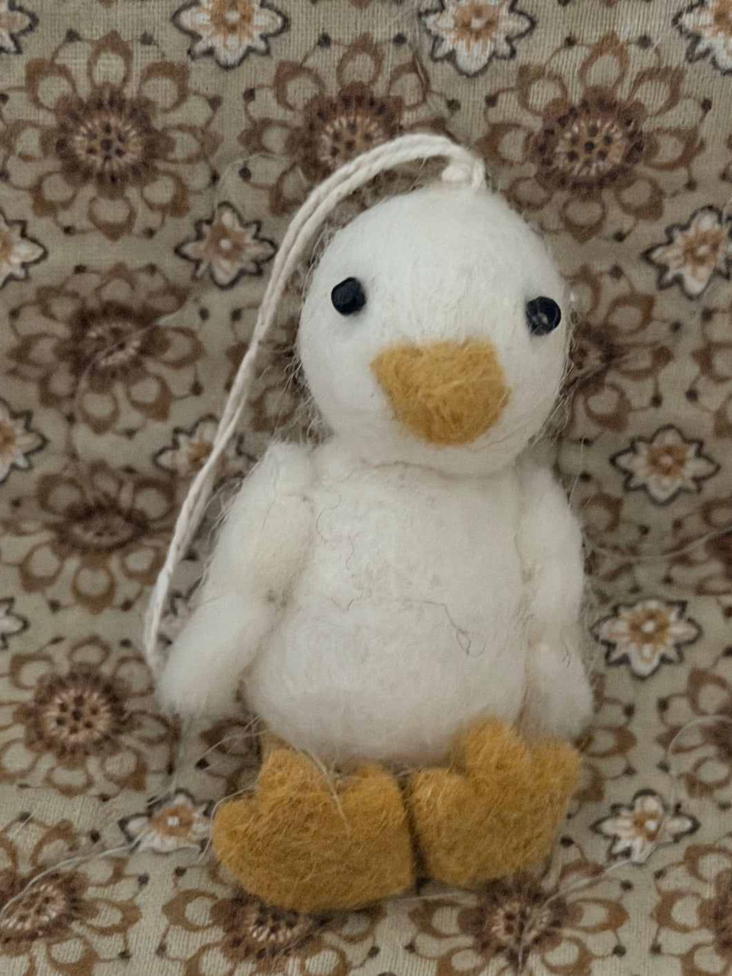 Ducks Ninie and Marco