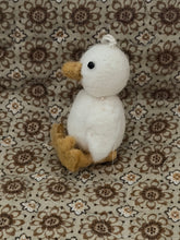 Ducks Ninie and Marco