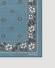Hartford - Bandana hibiscus