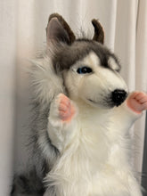 Hansa puppet husky