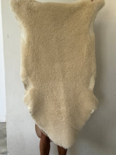 Fluffy offwhite sheep skin