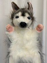 Hansa puppet husky