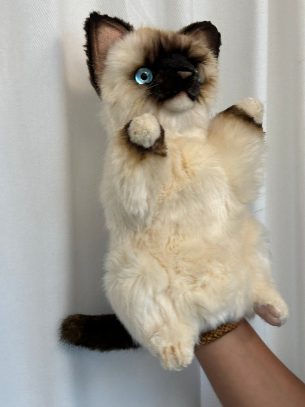 Hansa puppet cat – mamapapa