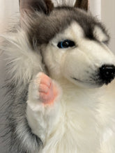 Hansa puppet husky