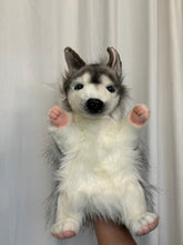 Hansa puppet husky