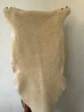 Fluffy offwhite sheep skin