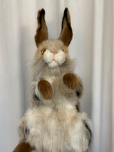 Hansa puppet Rabbit