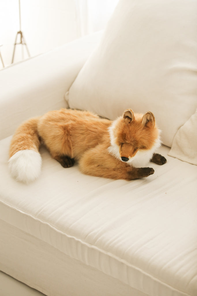 Hansa fox – mamapapa