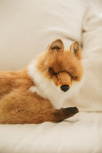 Hansa fox
