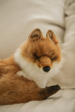 Hansa fox