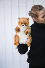 Hansa puppet Fox
