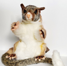 Hansa puppet possum