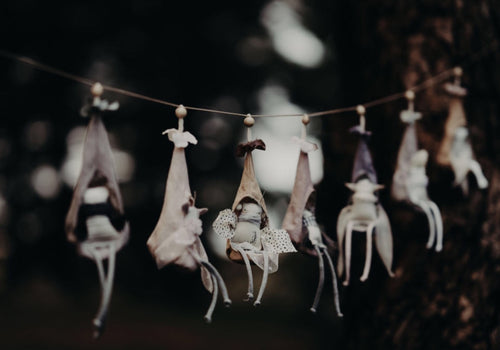 The wish pixies - Hanging Pods
