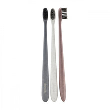 Meraki - Toothbrushes