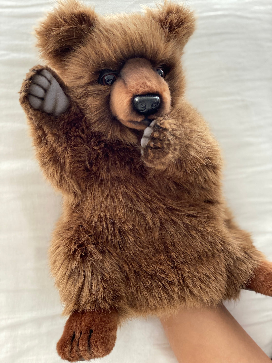 Hansa puppet Brown Bear