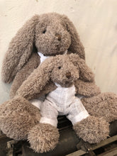 la famille lapinou - bunny family