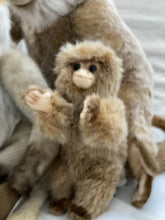 Hansa monkey family
