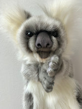 Hansa puppet Koala