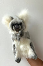 Hansa puppet Koala