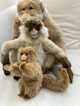 Hansa monkey family