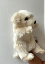 Hansa puppet puppy