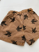 Buho - swimwear short with bird