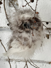 Fluffy hanging owl