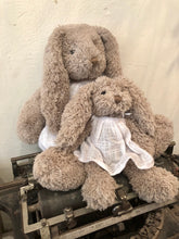 la famille lapinou - bunny family