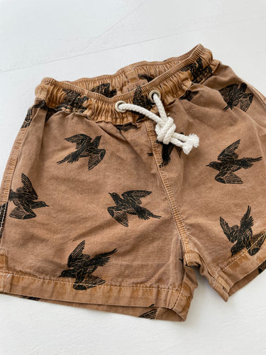 Buho - swimwear short with bird